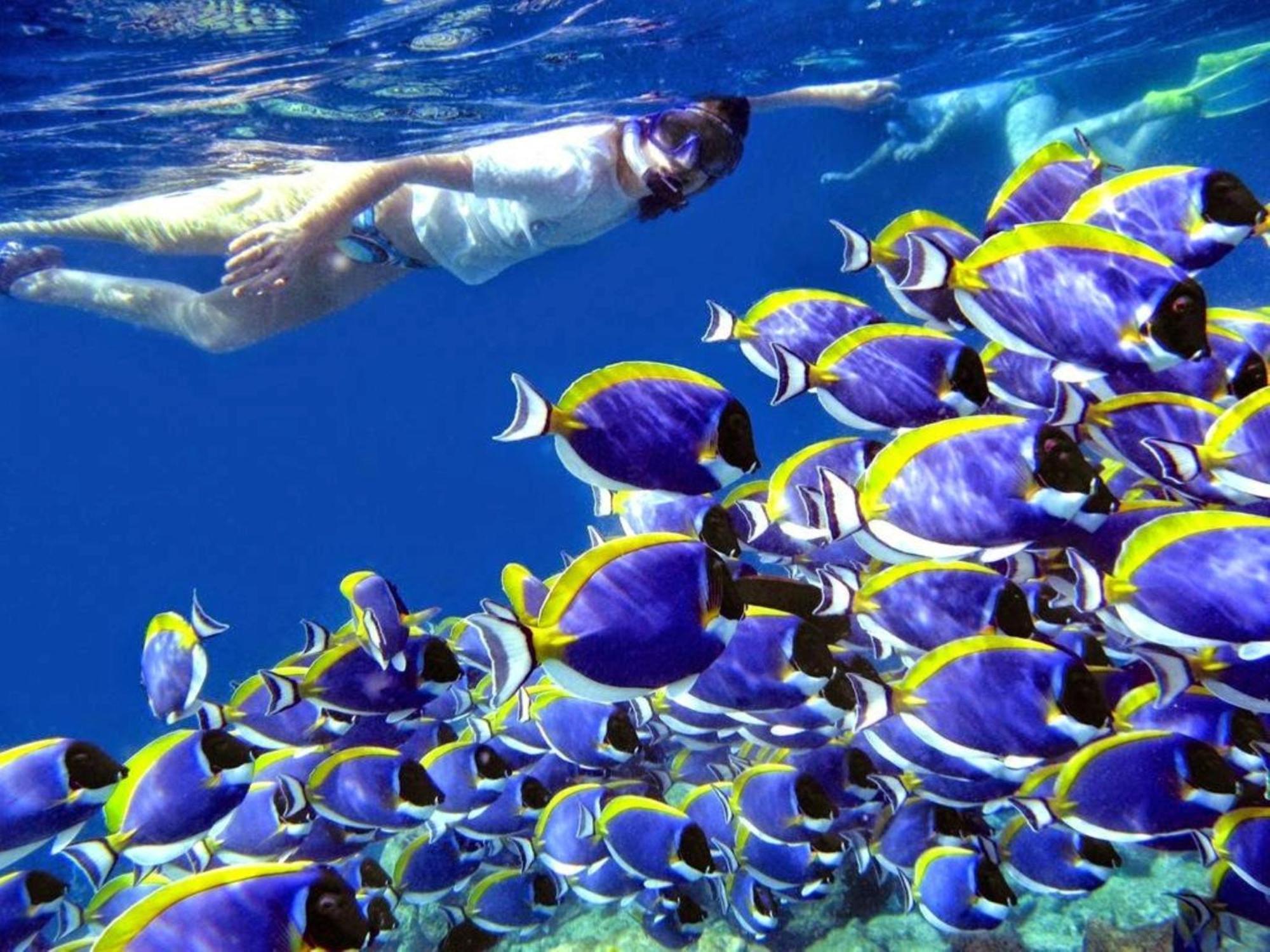 Madi Grand Maldives 호텔 풀리두 외부 사진